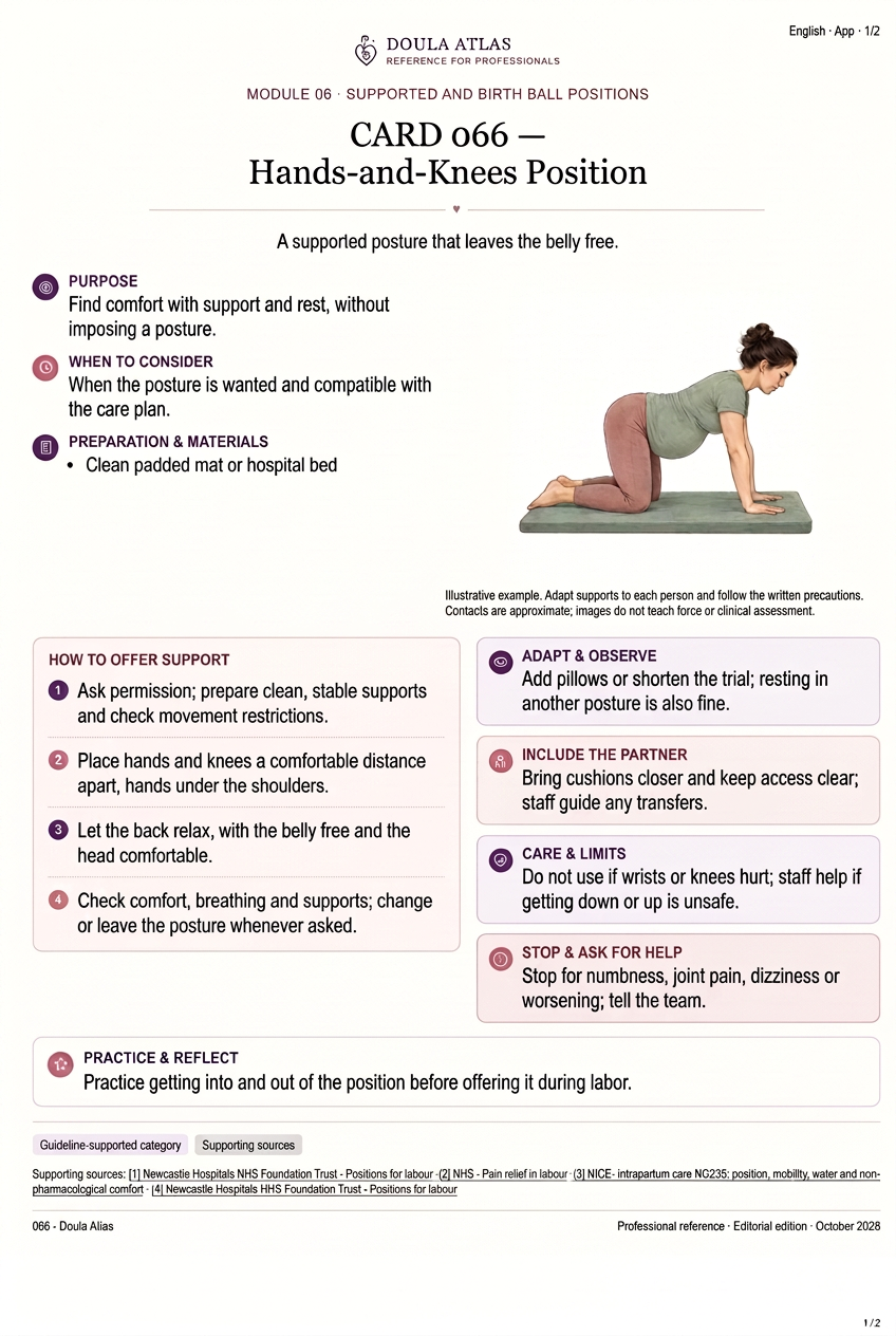 Card 066: Hands-and-Knees Position, with preparation, steps and considerations